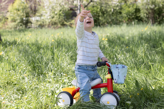 LENKRADKÖRBCHEN | für große und kleine Abenteuer im Freien mit dem Laufrad oder Fahrrad - in 2 Größen erhältlich
